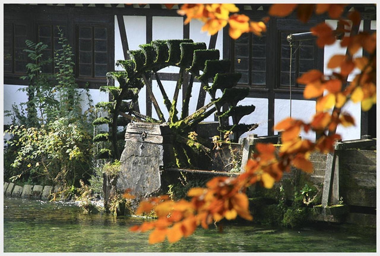 Hotel-Restaurant Ochsen เบลาบอยเริน ภายนอก รูปภาพ